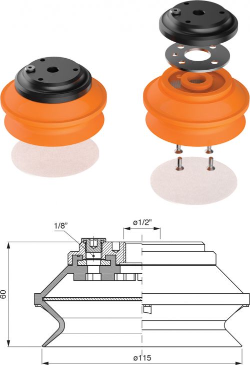 BF11531_1