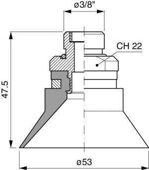 EF_50_80